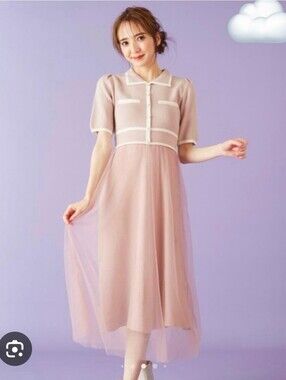 Miia vintage style collared short sleeve one piece tulle dress